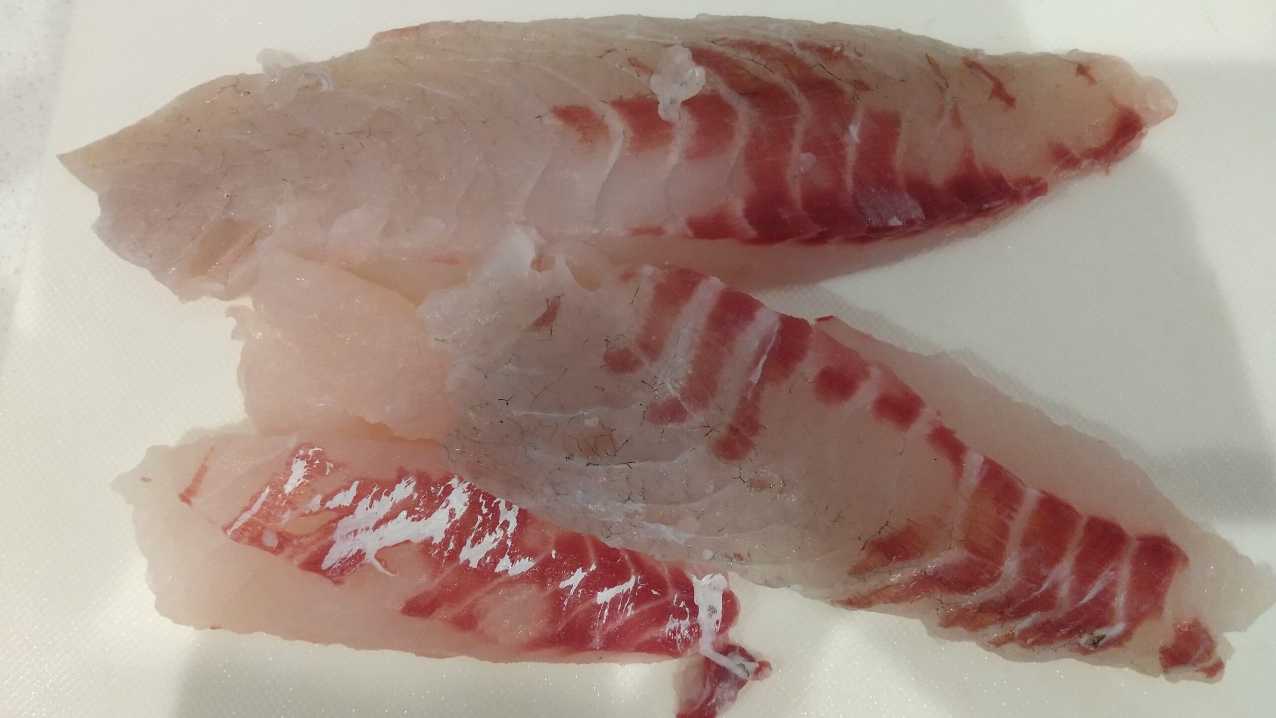 寒チヌの三枚おろし 刺身としゃぶしゃぶ 冬のチヌは臭み無く美味い ガン玉の釣りログ