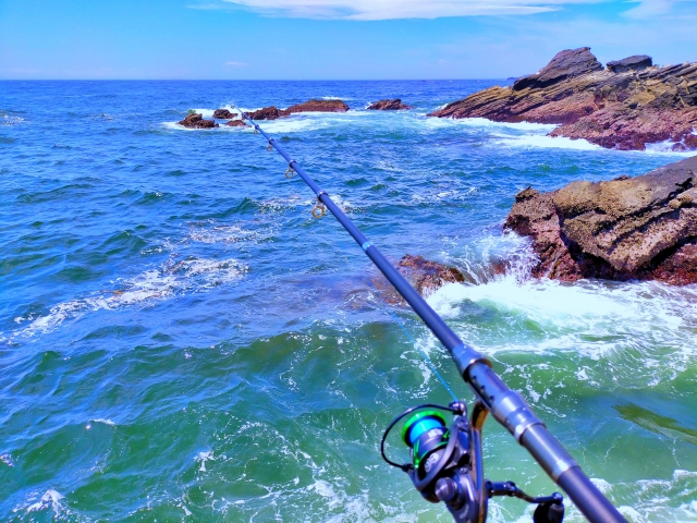 万能竿の選び方 これから釣りを始めてみたい人が選ぶべき1本目の釣竿はコレ ガン玉の釣りログ